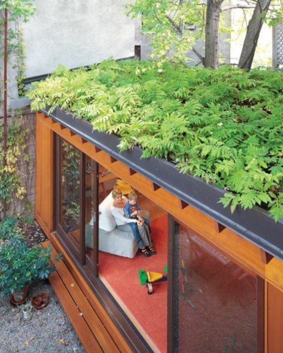 Toit plat Vegetalisé